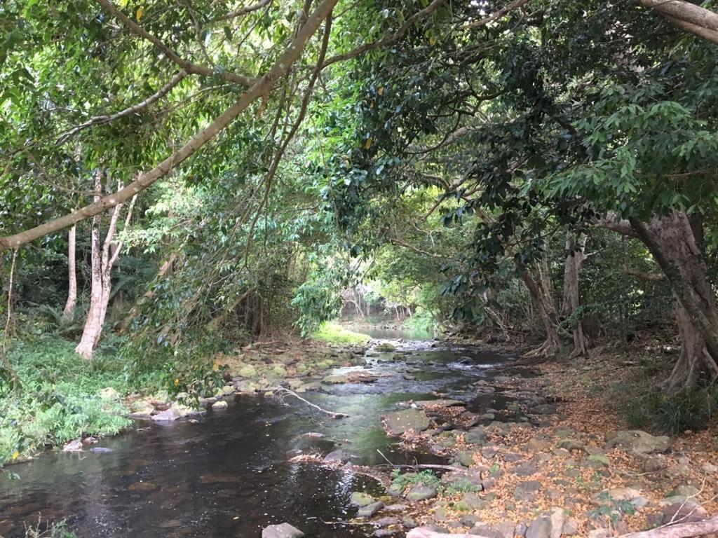 Cairns Crystal Cascades Holiday Park ภายนอก รูปภาพ